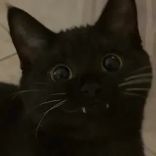 Sticker Больше стиков тут: @stikery4 - 4