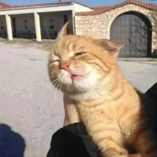 Sticker Больше стиков тут: @stikery4 - 6