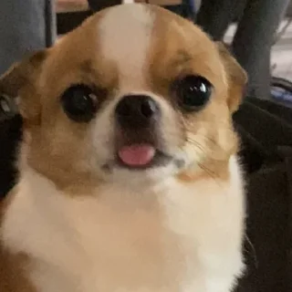 Sticker Больше стиков тут: @stikery4 - 8