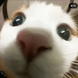 Sticker Больше стиков тут: @stikery4 - 11