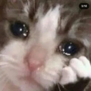 Sticker Больше стиков тут: @stikery4 - 7