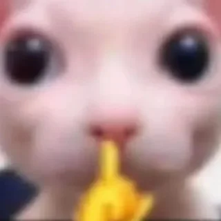 Sticker Больше стиков тут: @stikery4 - 5