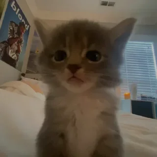 Sticker Больше стиков тут: @stikery4 - 3