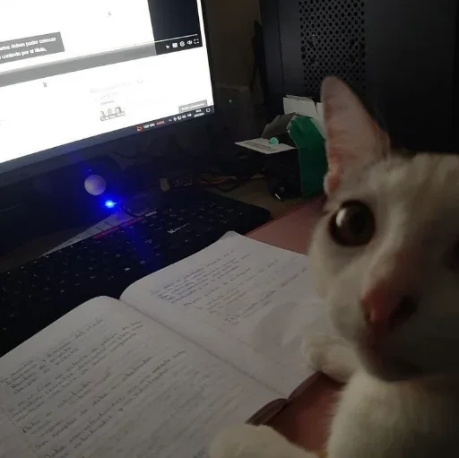 Стикер set_75_by_makestick3_bot - 1