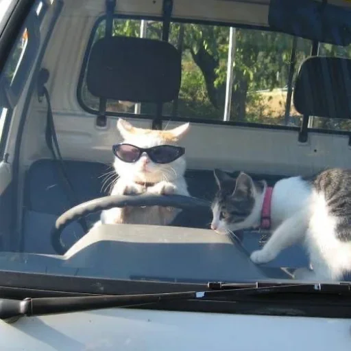 Стикер set_75_by_makestick3_bot - 1