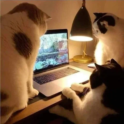 Sticker set_75_by_makestick3_bot - 1