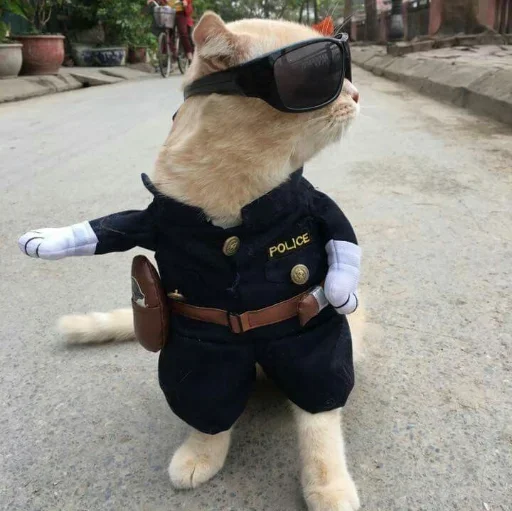 Sticker set_75_by_makestick3_bot - 1