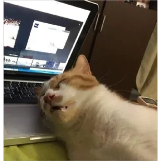 Стикер Больше стиков тут: @stikery4 - 5