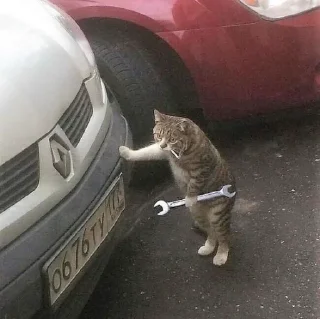 Стикер Больше стиков тут: @stikery4 - 3