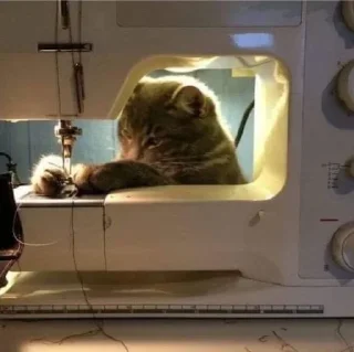 Стикер Больше стиков тут: @stikery4 - 6