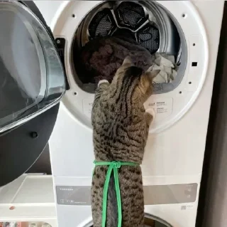 Стикер Больше стиков тут: @stikery4 - 4