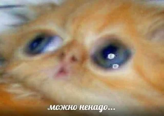 Стикер Больше стиков тут: @stikery4 - 7