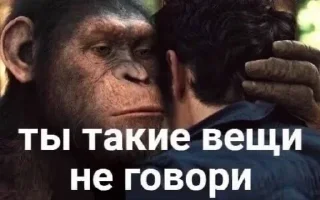 Стикер Больше стиков тут: @stikery4 - 8