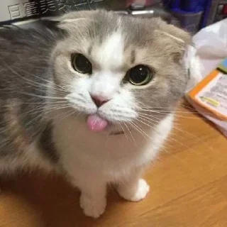 Sticker Больше стиков тут: @stikery4 - 6