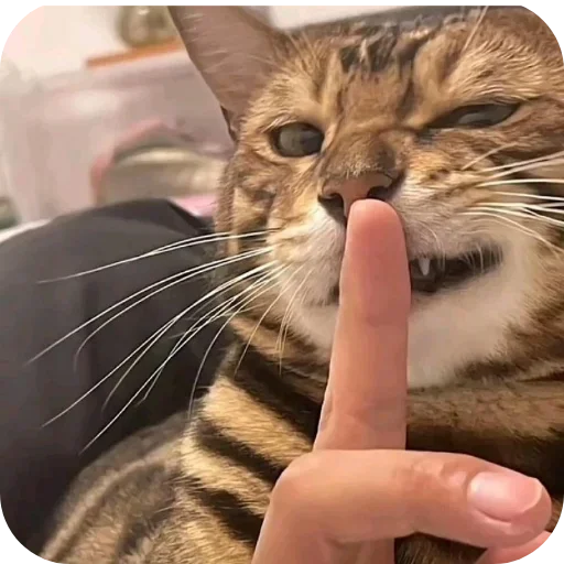 Стикер set_82_by_makestick3_bot - 1