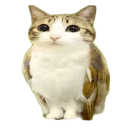 Стикер set_82_by_makestick3_bot - 1