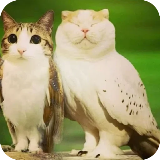 Стикер set_82_by_makestick3_bot - 1