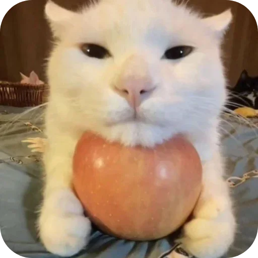 Стикер set_82_by_makestick3_bot - 1