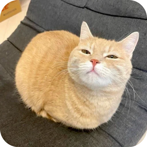 Стикер set_82_by_makestick3_bot - 1