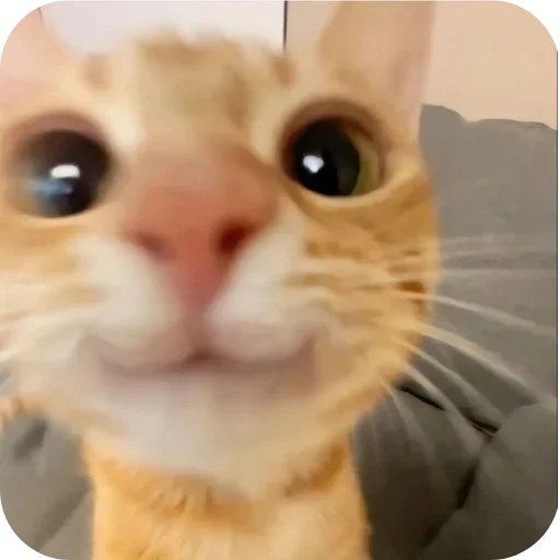 Стикер set_82_by_makestick3_bot - 1