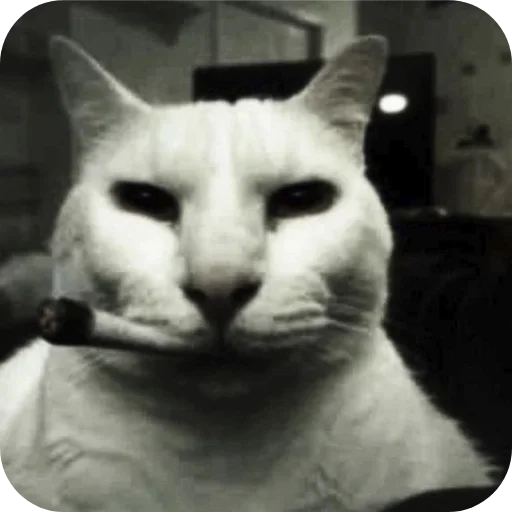 Стикер set_82_by_makestick3_bot - 1