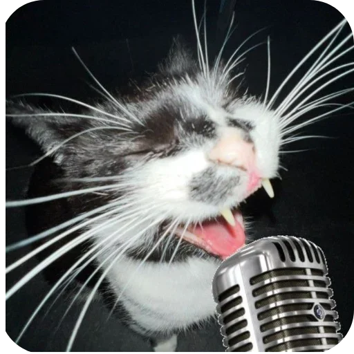 Стикер set_82_by_makestick3_bot - 1