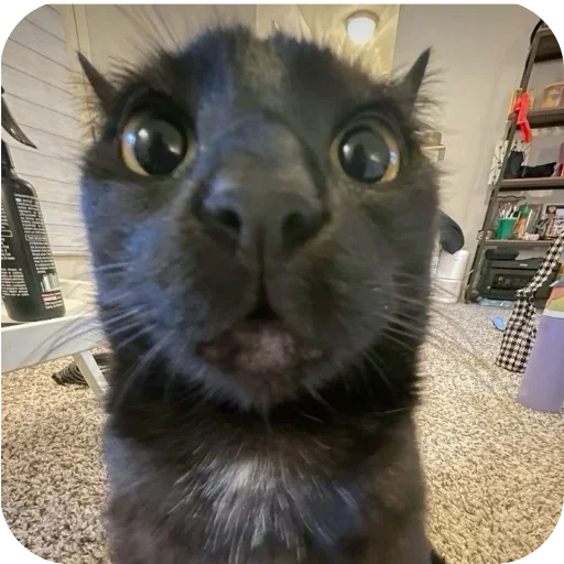 Стикер set_82_by_makestick3_bot - 1