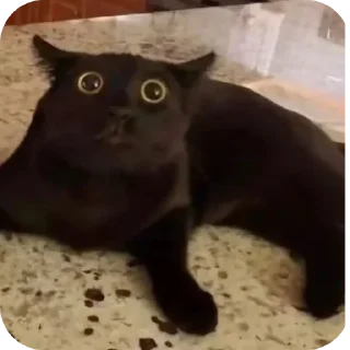 Стикер Больше стиков тут: @stikery4 - 8