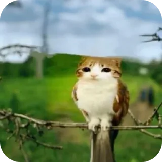 Стикер Больше стиков тут: @stikery4 - 11