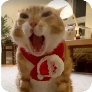 Стикер Больше стиков тут: @stikery4 - 10