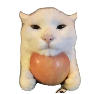 Стикер Больше стиков тут: @stikery4 - 4