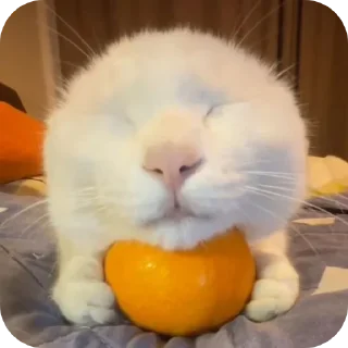 Стикер Больше стиков тут: @stikery4 - 1