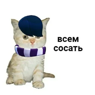 Sticker Больше стиков тут: @stikery4 - 3