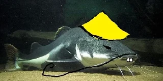 Стикер Favorite Stickers - 8