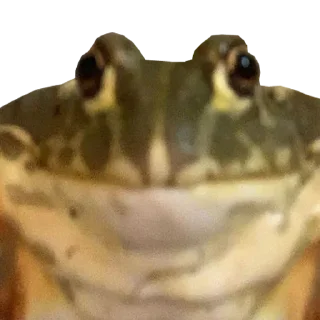 Стикер Favorite Stickers - 1