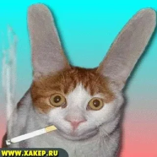 Стикер Favorite Stickers - 10