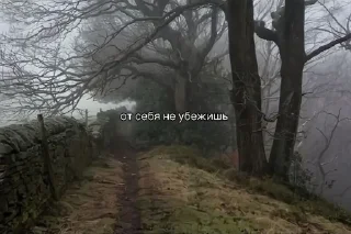 Sticker Больше стиков тут: @stikery4 - 6