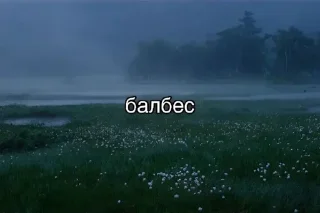 Sticker Больше стиков тут: @stikery4 - 1