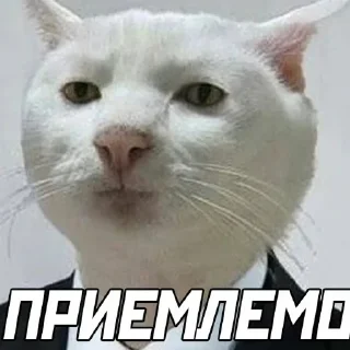 Стикер А хуле 👉 @pornostikerys 🔞 - 1