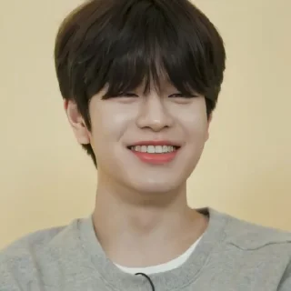 Sticker ࣪ ུ۪ . seungmin ࣪. @foreshdwst - 7