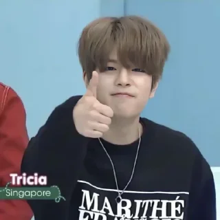 Sticker ࣪ ུ۪ . seungmin ࣪. @foreshdwst - 5