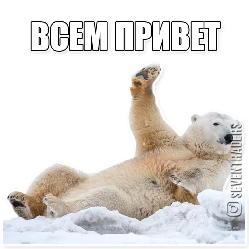 Sticker seventraders_stickers - 1