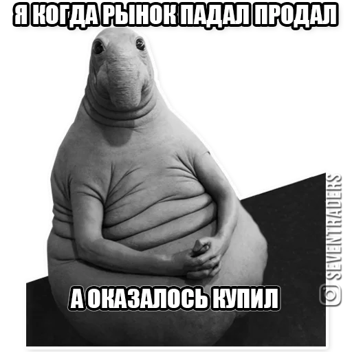 Sticker seventraders_stickers - 1