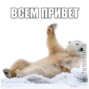 Sticker seventraders.ru - 8