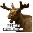 Sticker seventraders.ru - 11