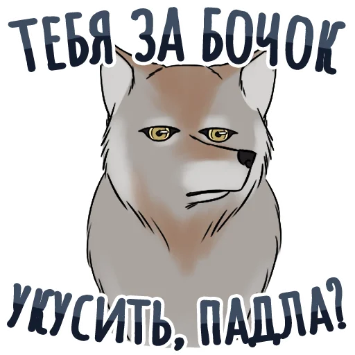 СМС млекопитающее кошка