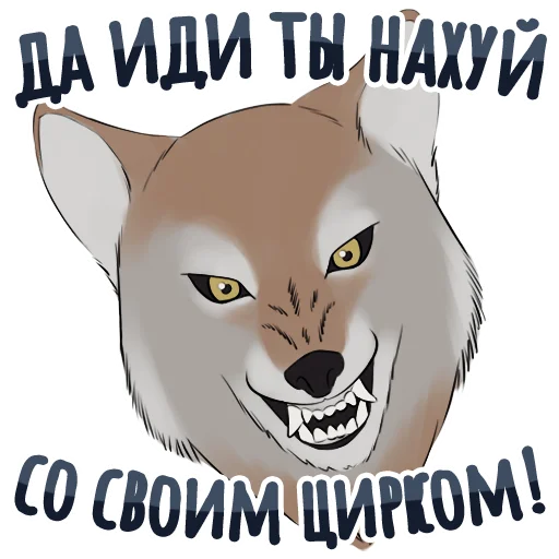 СМС млекопитающее кошка