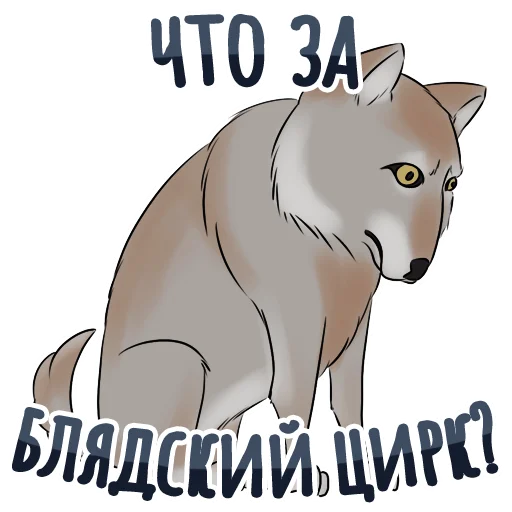 животное млекопитающее кошка