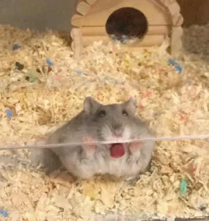 Стикер sex - 6