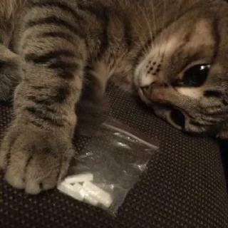 Стикер sex - 8